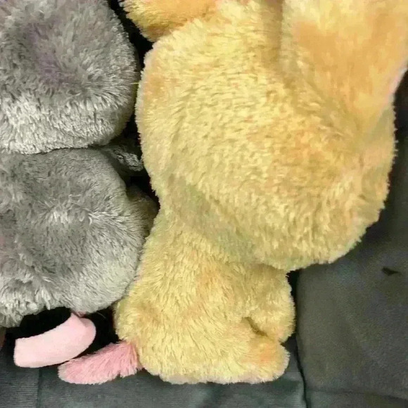 Beanie boo lot of 3 Ida Rocco and Nacho  2 with tags - Picture 7 of 7